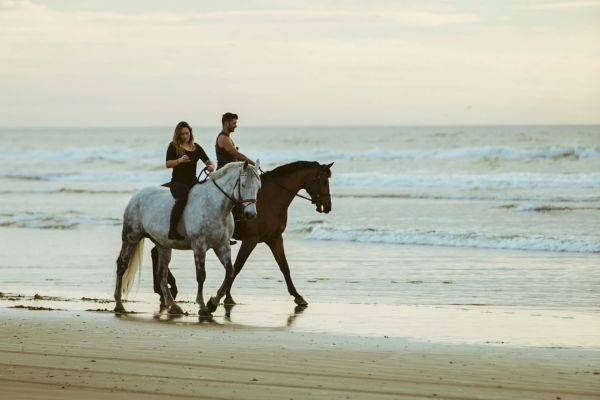 Two people riding horses along a beach shoreline with gentle waves under an overcast sky, creating a serene and picturesque scene.