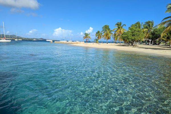 A tropical beach with clear blue water, palm trees, and boats anchored in the distance under a bright blue sky.