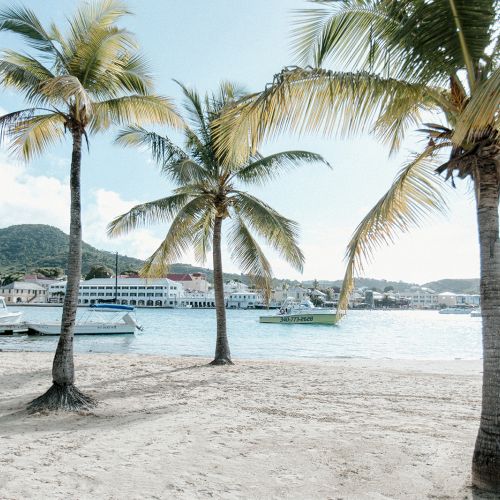 A sunny beach scene with palm trees, boats on the water, and buildings in the background under a clear blue sky.