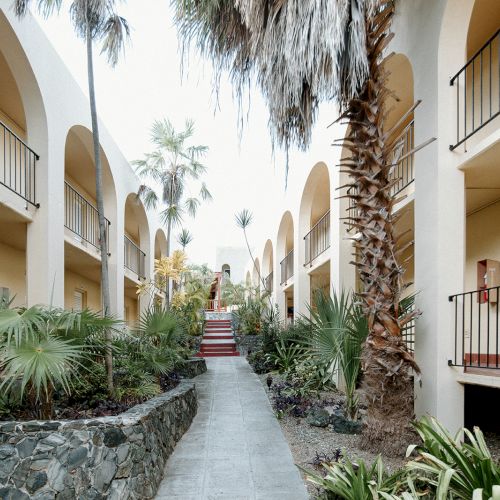 A pathway between two buildings with arches, surrounded by palm trees and plants, leads up steps.