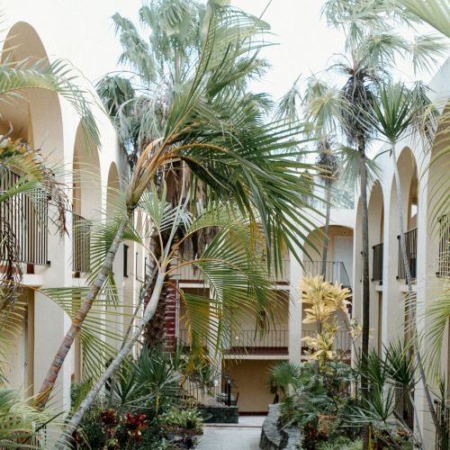 The image depicts an interior courtyard with tall palm trees and arched balconies, creating a tropical and serene atmosphere.