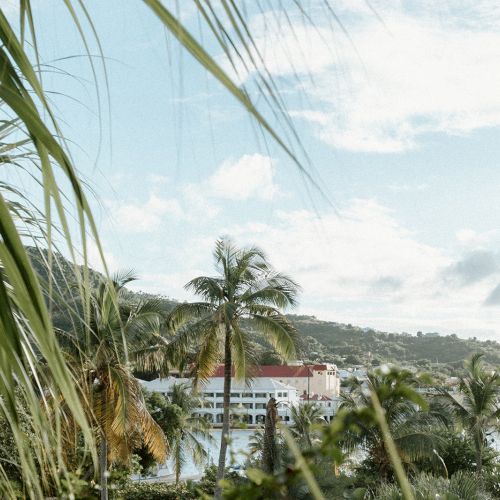 A tropical landscape featuring palm trees, buildings with red roofs, and a calm body of water on a clear day, under a blue sky.