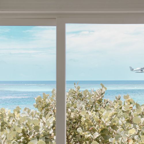 View through a window of a seaplane flying over the ocean, with green foliage in the foreground and a clear sky in the background.